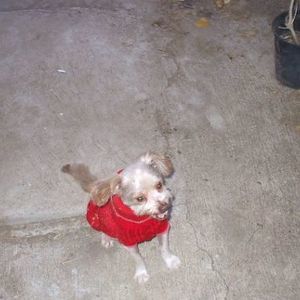 Meet your Posher, Brenda